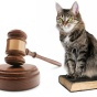 Animal Law pro bono. 