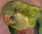 Zoom image: Watercolor painting of a green bird