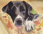 Zoom image: Watercolor painting of a black and white dog face with tongue sticking out. 