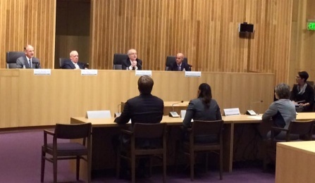 pro bono scholars testifying in a hearing. 