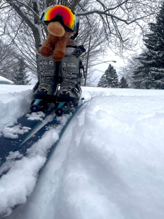 Stuffed animal bison with skis and goggles on. 