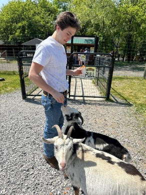 man outside feeding goats. 