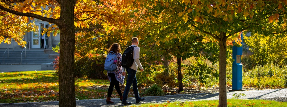 a stroll across campus in the fall. 