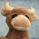 photo of Barry Bull &lsquo;25. 