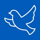 Flying Dove Icon. 