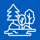 Tree Icon. 