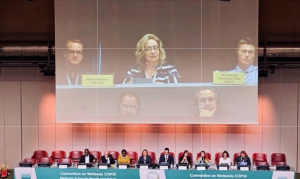 people sitting on a stage with a big screen above, screen shows a woman speaking. 