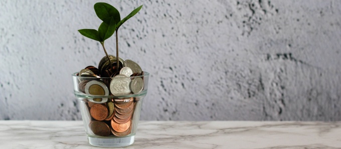 photo of clear cup filled with coins and a plant goring our through the coins. 
