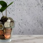 photo of clear cup filled with coins and a plant goring our through the coins. 