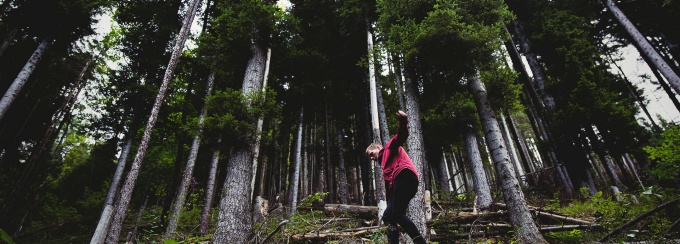 Man walking on a fallen tree in a forest. 