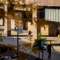 Students walking along a sidewalk next to a brick academic building on a sunny day. Yellow autumn leaves partially frame the view in the foreground. A banner with the University at Buffalo logo hangs from a lamppost near the building entrance. 