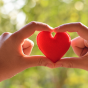 Two hands hold a small red heart between the fingers, forming a heart shape, with a softly blurred green outdoor background. 