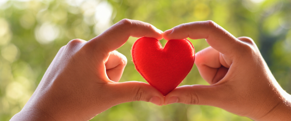 Two hands hold a small red heart between the fingers, forming a heart shape, with a softly blurred green outdoor background. 