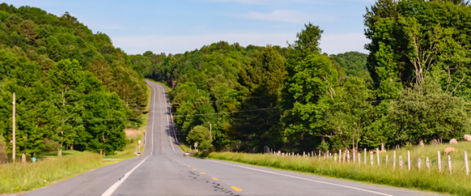 Two lane rural road stretching into the distance through green wooded hills, with telephone poles on the right and a fenced grassy field with grazing sheep under a blue sky. 