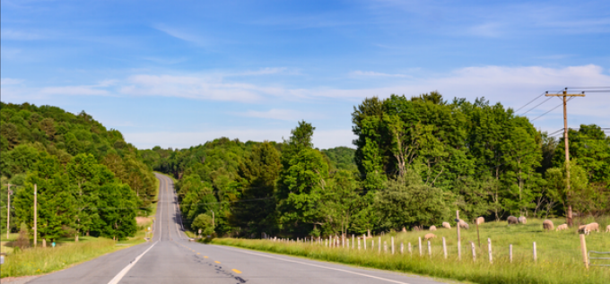 Two lane rural road stretching into the distance through green wooded hills, with telephone poles on the right and a fenced grassy field with grazing sheep under a blue sky. 
