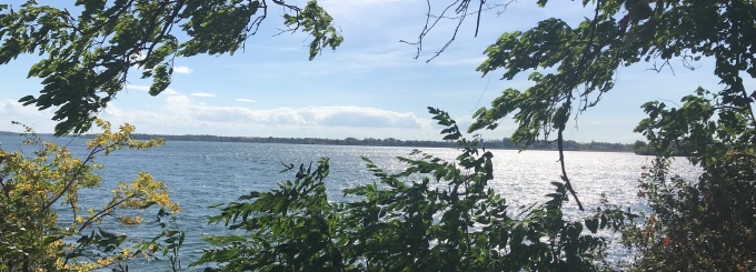 view of the Niagara River. 