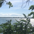 view of the Niagara River. 