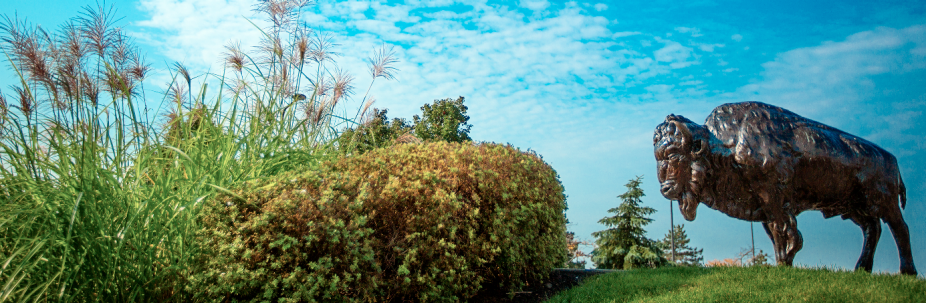 statue of a buffalo with grass and bushes, blue sky. 