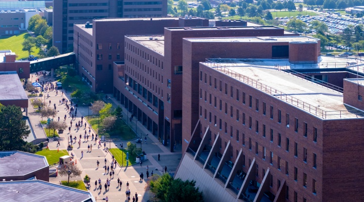 Snowy branches in front of a brick building. 