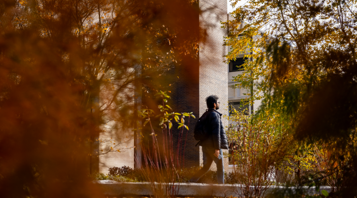 Student walks along a campus pathway surrounded by trees and foliage displaying autumn colors. 