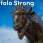 #UBuffalo Strong. 