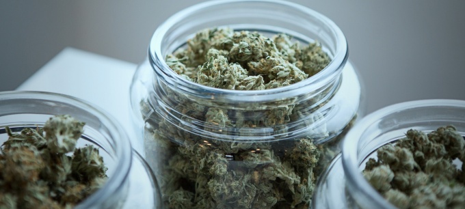 jars of cannabis. 