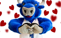A blue bull mascot forms a heart shape with its hands, with red heart graphics surrounding it. 