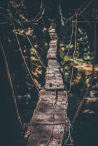 photo of wooden bridge. 
