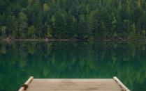dock over water in deep green forest. 