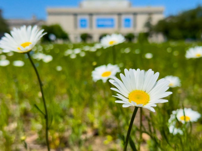 Spring into Wellness - School of Law - University at Buffalo