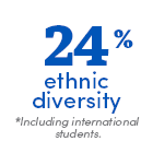 24% ethnic diversity *including international students.